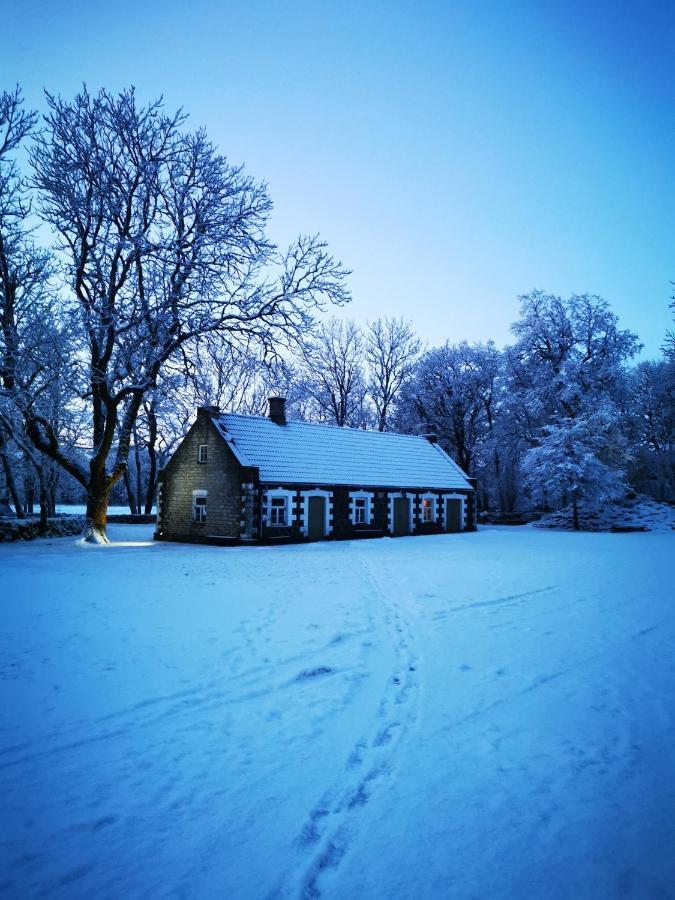 Vanatoa Taluhotell Koguva Luaran gambar