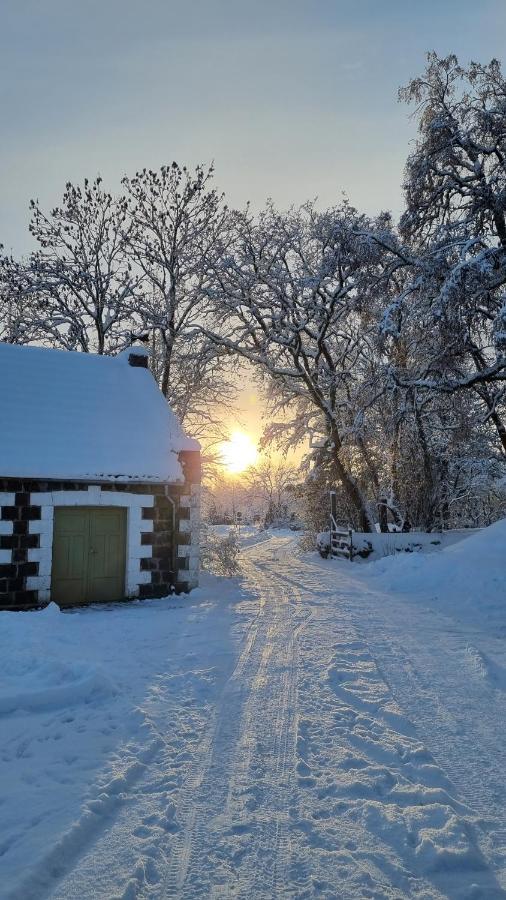 Vanatoa Taluhotell Koguva Luaran gambar