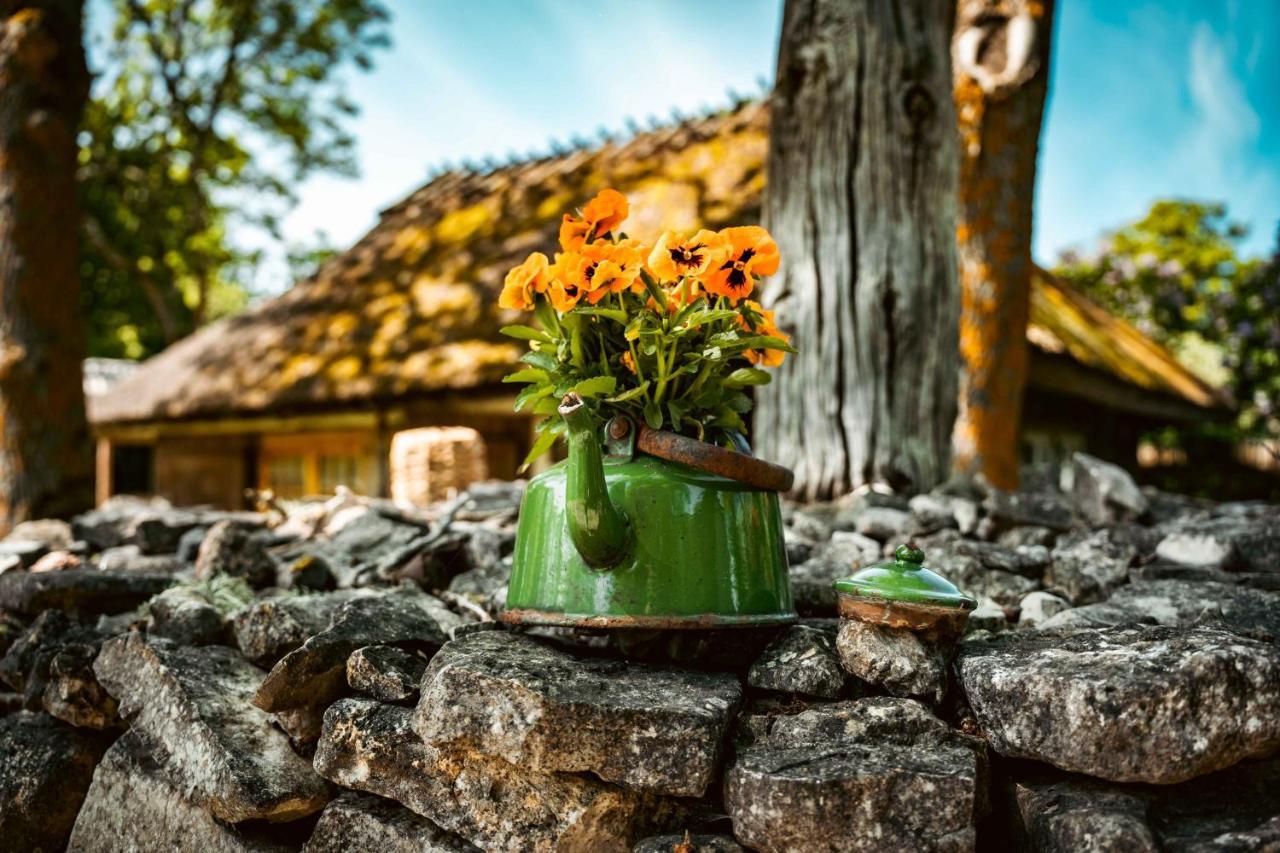 Vanatoa Taluhotell Koguva Luaran gambar